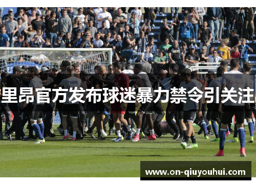 里昂官方发布球迷暴力禁令引关注
